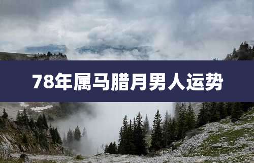 78年属马腊月男人运势