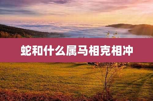 蛇和什么属马相克相冲