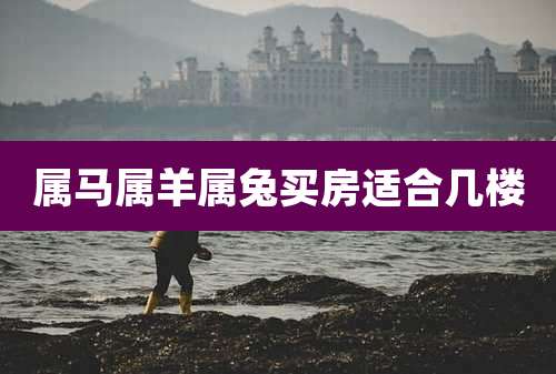 属马属羊属兔买房适合几楼