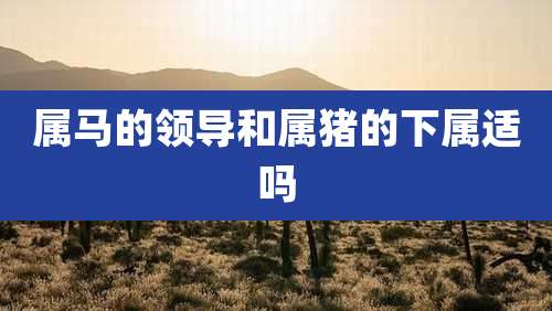 属马的领导和属猪的下属适吗