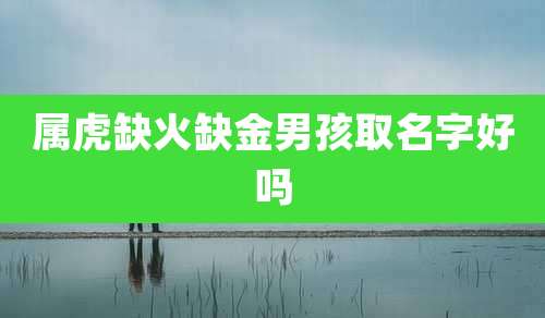 属虎缺火缺金男孩取名字好吗