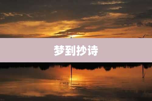 梦到抄诗
