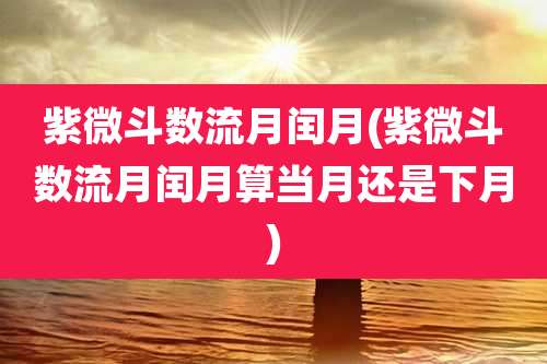 紫微斗数流月闰月(紫微斗数流月闰月算当月还是下月)