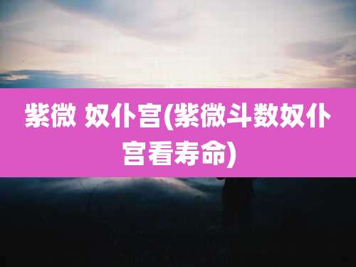 紫微 奴仆宫(紫微斗数奴仆宫看寿命)