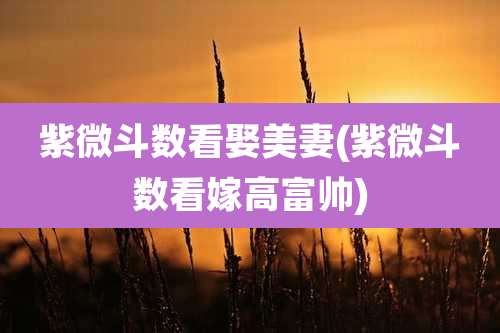 紫微斗数看娶美妻(紫微斗数看嫁高富帅)