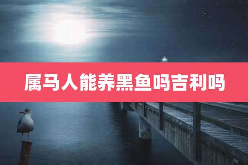 属马人能养黑鱼吗吉利吗
