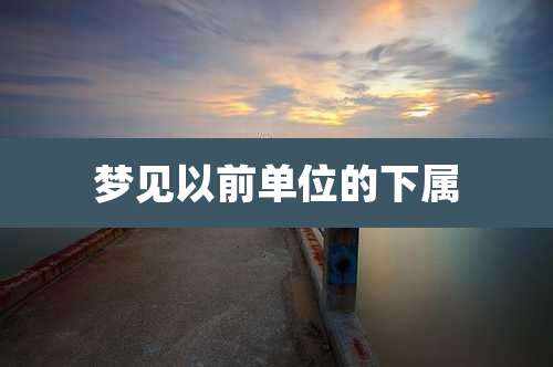 梦见以前单位的下属