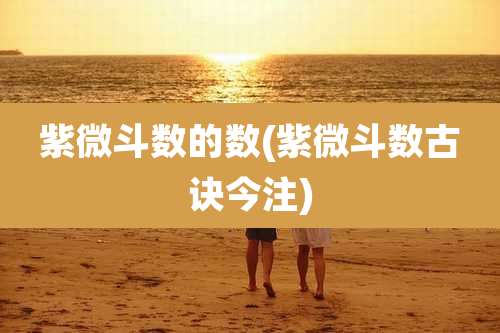 紫微斗数的数(紫微斗数古诀今注)