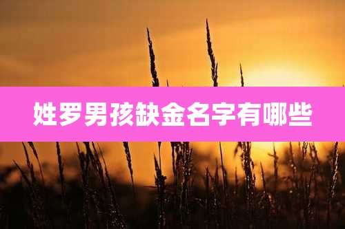 姓罗男孩缺金名字有哪些