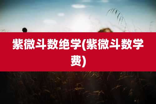 紫微斗数绝学(紫微斗数学费)