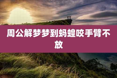 周公解梦梦到蚂蝗咬手臂不放