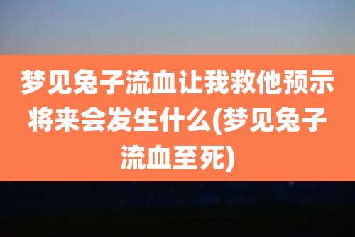 梦见兔子流血让我救他预示将来会发生什么(梦见兔子流血至死)
