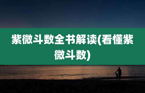 紫微斗数全书解读(看懂紫微斗数)