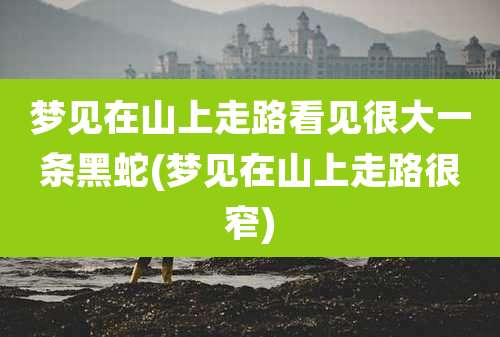梦见在山上走路看见很大一条黑蛇(梦见在山上走路很窄)