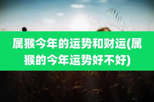 属猴今年的运势和财运(属猴的今年运势好不好)