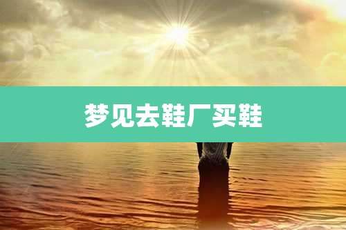 梦见去鞋厂买鞋