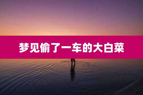 梦见偷了一车的大白菜
