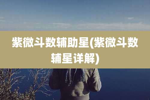 紫微斗数辅助星(紫微斗数辅星详解)