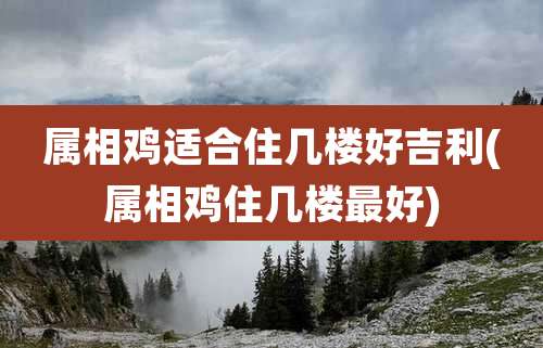 属相鸡适合住几楼好吉利(属相鸡住几楼最好)