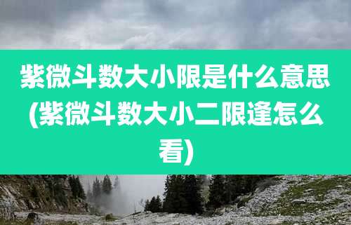 紫微斗数大小限是什么意思(紫微斗数大小二限逢怎么看)