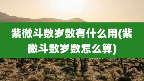 紫微斗数岁数有什么用(紫微斗数岁数怎么算)