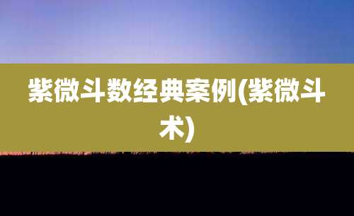 紫微斗数经典案例(紫微斗术)