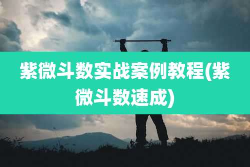 紫微斗数实战案例教程(紫微斗数速成)