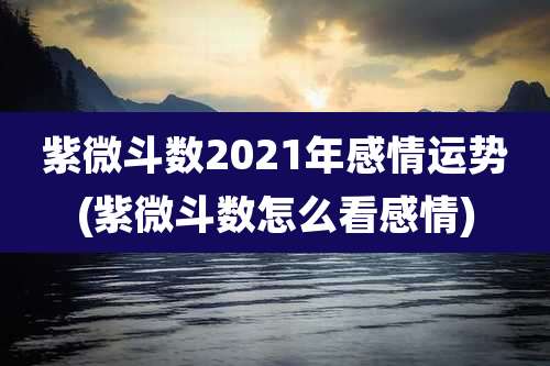 紫微斗数2021年感情运势(紫微斗数怎么看感情)