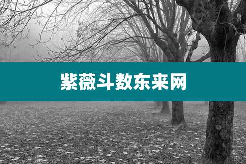 紫薇斗数东来网