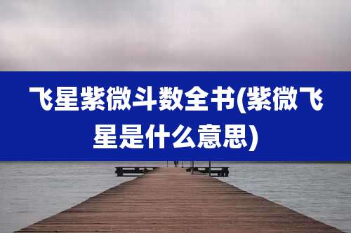 飞星紫微斗数全书(紫微飞星是什么意思)