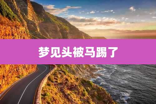 梦见头被马踢了