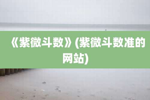 《紫微斗数》(紫微斗数准的网站)