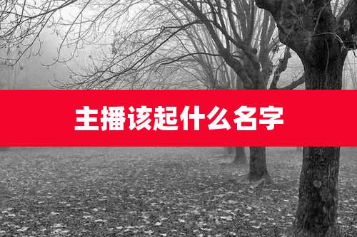主播该起什么名字