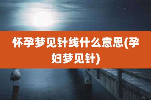 怀孕梦见针线什么意思(孕妇梦见针)