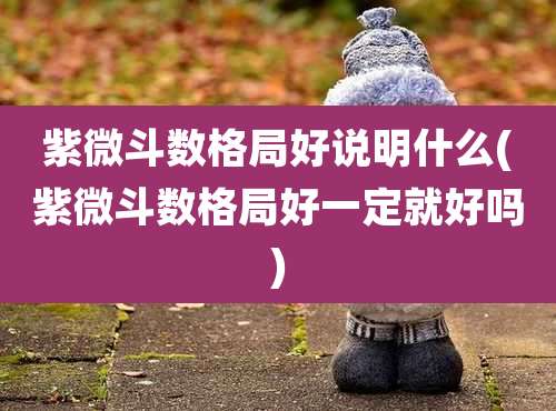 紫微斗数格局好说明什么(紫微斗数格局好一定就好吗)