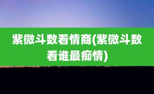 紫微斗数看情商(紫微斗数看谁最痴情)