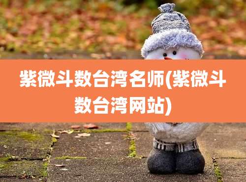 紫微斗数台湾名师(紫微斗数台湾网站)