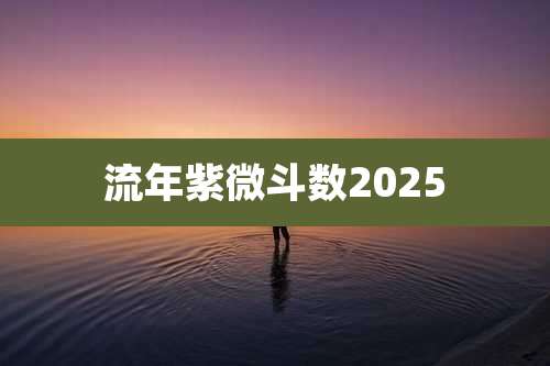 流年紫微斗数2025