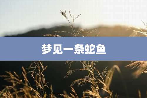梦见一条蛇鱼