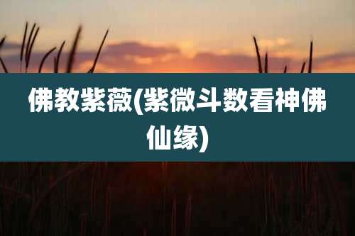 佛教紫薇(紫微斗数看神佛仙缘)