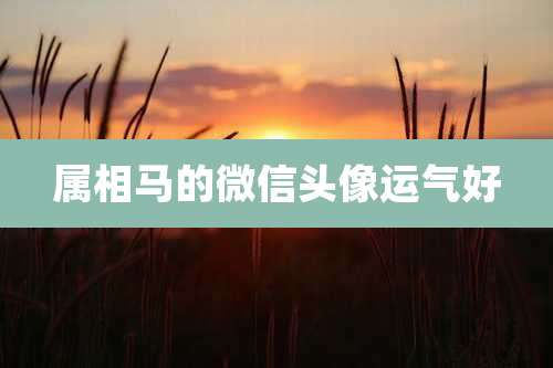 属相马的微信头像运气好