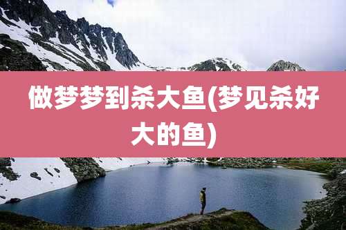 做梦梦到杀大鱼(梦见杀好大的鱼)