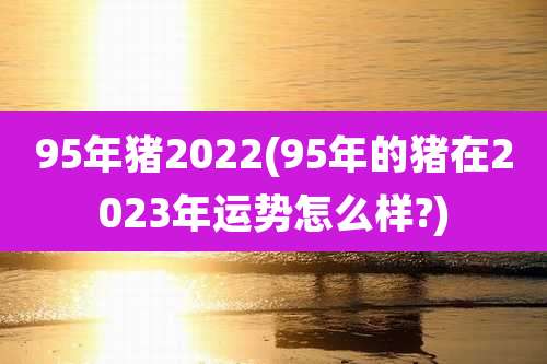 95年猪2022(95年的猪在2023年运势怎么样?)