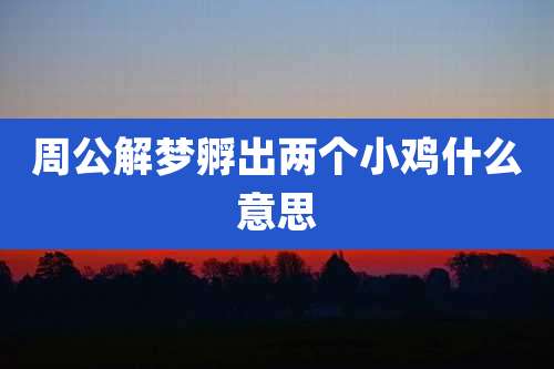 周公解梦孵出两个小鸡什么意思