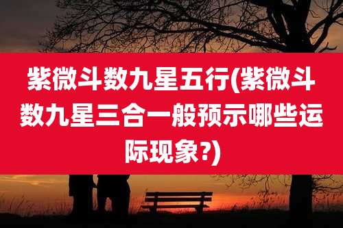 紫微斗数九星五行(紫微斗数九星三合一般预示哪些运际现象?)
