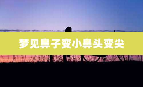梦见鼻子变小鼻头变尖