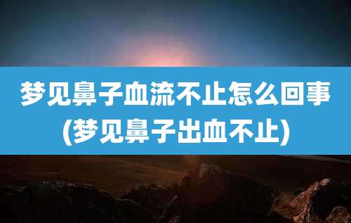梦见鼻子血流不止怎么回事(梦见鼻子出血不止)