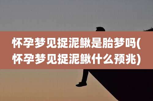 怀孕梦见捉泥鳅是胎梦吗(怀孕梦见捉泥鳅什么预兆)