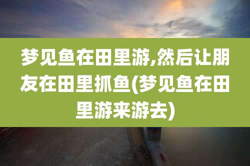 梦见鱼在田里游,然后让朋友在田里抓鱼(梦见鱼在田里游来游去)
