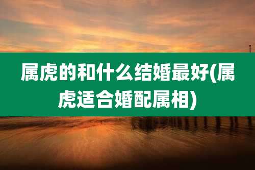 属虎的和什么结婚最好(属虎适合婚配属相)